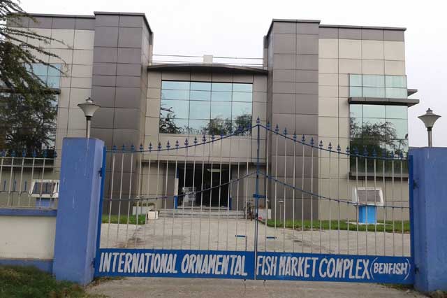 West Bengal Fishermen Cooperative Federation Ltd - BENFISH